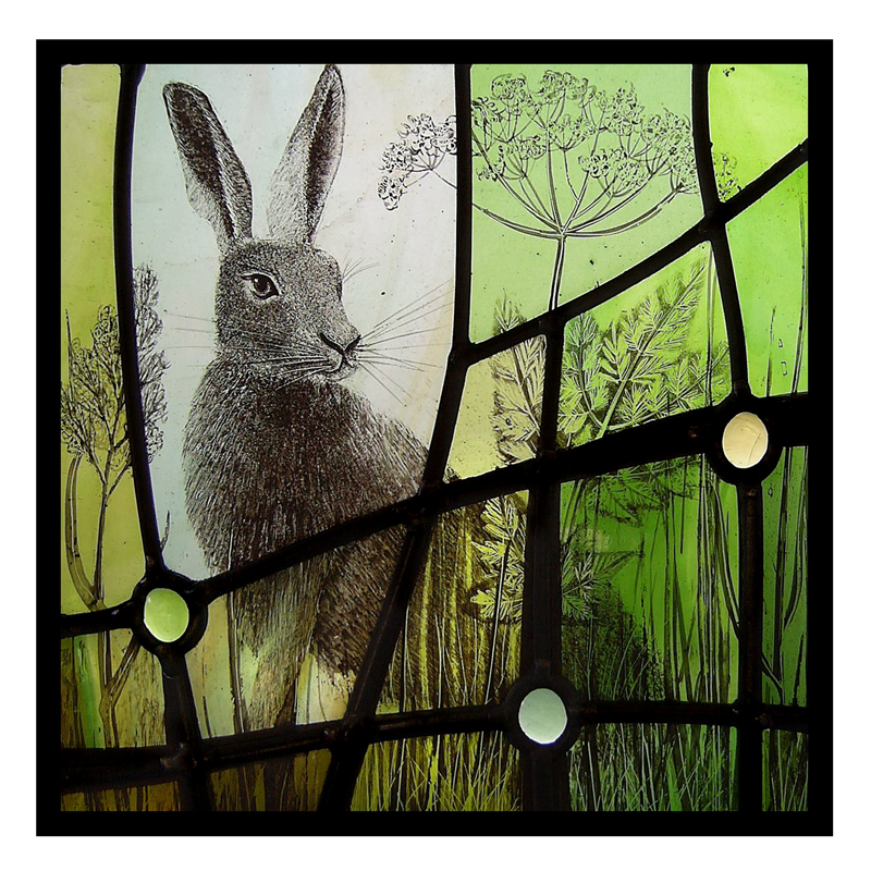 card 2 - Curious hare